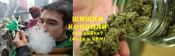 spice Алзамай