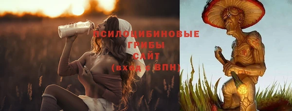 альфа пвп Армянск