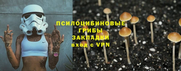 2c-b Алексин